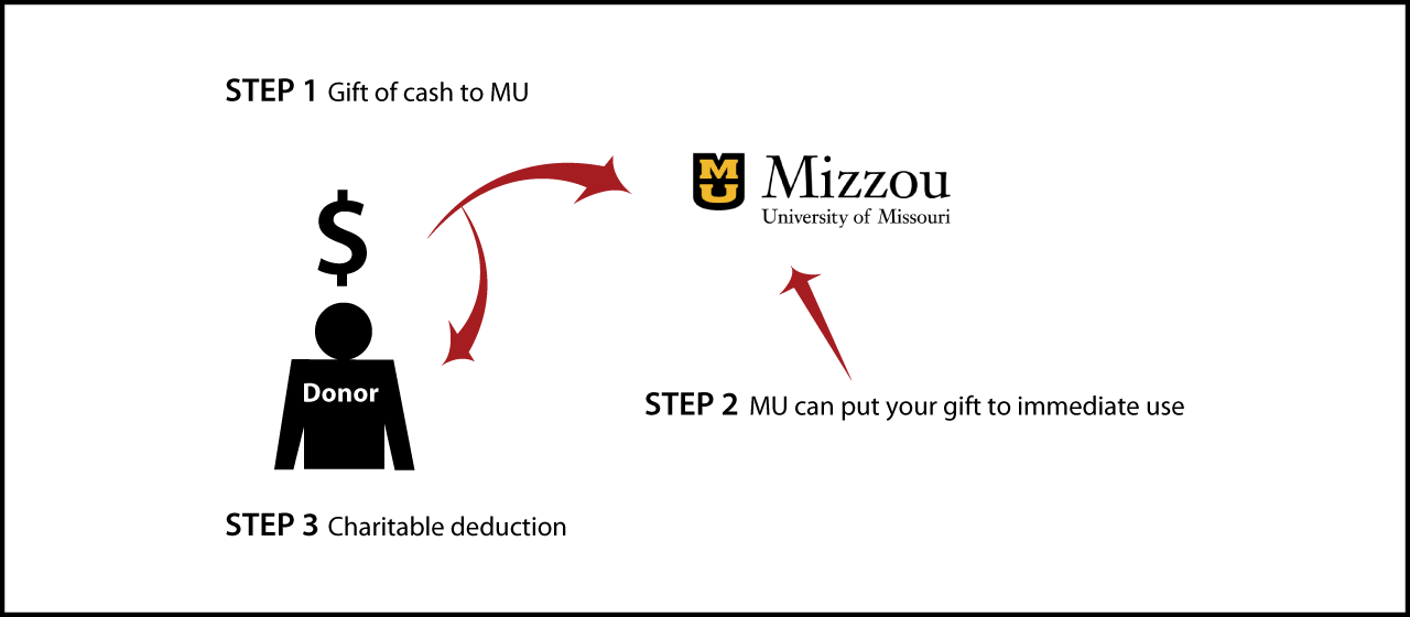 Cash, Checks, and Credit Cards Diagram. Description of image is listed below.